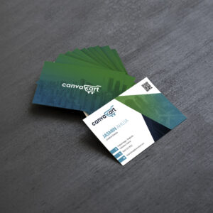 Business Card / Visiting Card 9